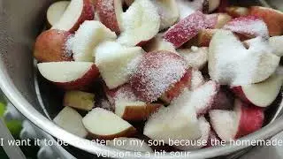 Jablkov&yacute; dž&uacute;s,Steam Juice extractor & home-made apple juice