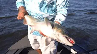 Manistee Lake Kings - Destination Outdoors