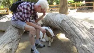 Map-Eating Goat