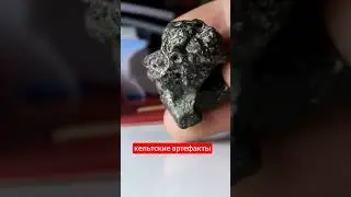 Кельтские артефакты в Волгограде. #shorts #археология #история #наука