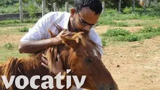 Real-Life Indian Horse Whisperer Rescues Abandoned And Injured Horses