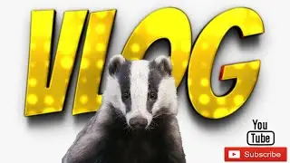 Community Vlog: Streaming on easy, Snow, bad ASMR, news and a personal Thankyou