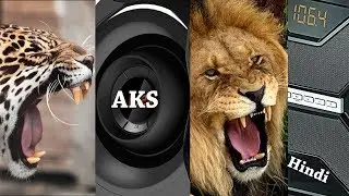 Philips SPA8000B vs SPA5250B Fight Club by AKS