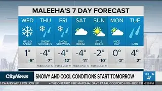Snowfall warning issued for Toronto