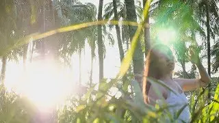 HAWAII'S CRAZY PALM TREE PARADISE with THOMAS & TRACEY