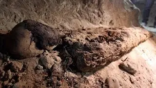 Egypt uncovers chamber of mummies, sees life for tourism