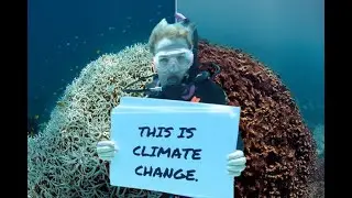 The Impact of Climate Change on Coral Reefs