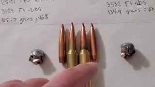 300 win mag ballistics gel test: 225 ELD-M vs 212 ELD-X