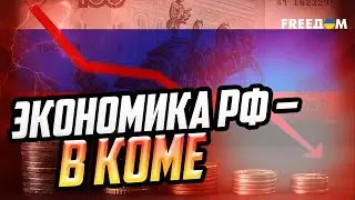 НДС – 22%, дефолты и задержки зарплат. 2026-й станет годом краха РФ?