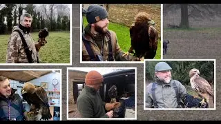 MY TRIP WITH HUNTING BIRDS OF PREY, EAGLES, REDTAIL, HARRIS HAWK.