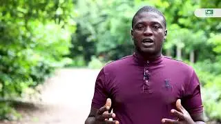 IITA Forest Center Nigerian Threatened Trees Project