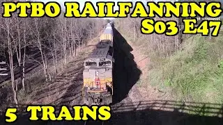 PTBO Railfanning S03E47 - 5 Trains Denfield Rd Bridge