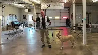Alpha Training Video