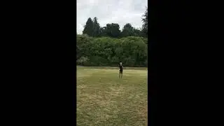 5 Ball 744 world record
