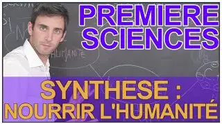 Nourrir l'humanité : synthèse du chapitre - Sciences 1ère ES/L - Les Bons Profs