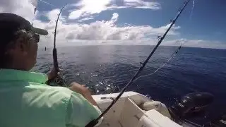 Bill Fishing Costa Rica