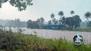 mind-blowing! Heavy rain  | some random visuals |  relaxation video | The Real Ambience