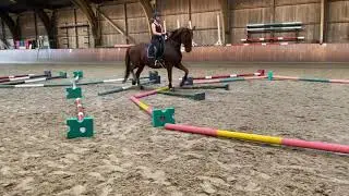 Trabstangen-Training