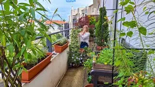 Planting Up My Railing Planters For Summer | North-East Balcony