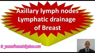 2  Lympatic drainge Breast axillary LN