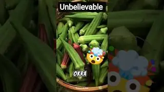 &ldquo;Top 5 Super Vegetables You Must Eat! 🥦 Boost Immunity, Prevent Cancer & Sharpen Your Brain #Health