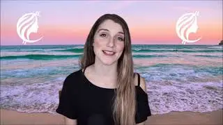 Учебное пособие по приложению Bitplaza