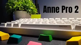 Is the Anne Pro 2 Still Worth It In 2021? | Gateron Red Switches