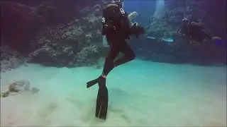 SCUBA DIVING IN KONA WITH JACK'S DIVE LOCKER