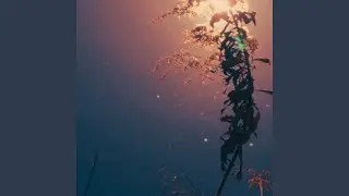 Nightfall