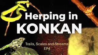 HERPING IN KONKAN| Trails, Scales and Streams EP 4