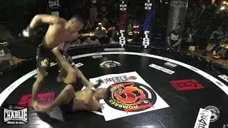 Lucas silva Godzilla