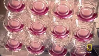 SamSerial | STEPHEN HAWKING'S SCIENCE OF THE FUTURE