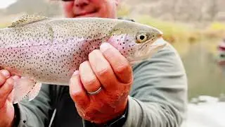 Best Fly Fishing Lodge on the San Juan River | Rainbow Lodge Overnight Experience
