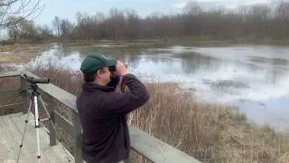 What is an estuary? | Lake Metroparks Arcola Creek Park