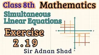 Class 8 Math | Exercise 2.19 | Simultaneous Linear equation | Complete Solution