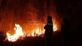Why Chile’s wildfires are spreading faster and burning hotter