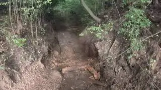 MotoFox 5 etapas