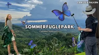 Rejseminder fra Colombia Freyas dr&oslash;m om sommerfugle 🦋✨