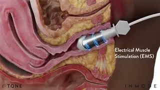 Willow Women's Health