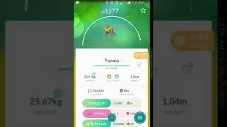 High IV Yanma Evolution