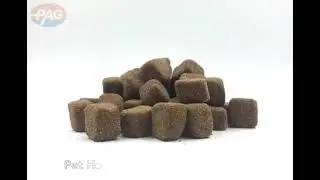 Your pet nutrition soft chews for daily care