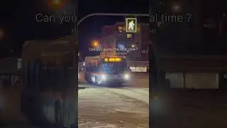 Winter Morning scene in Yukon #yukon #shortvideo #shorts #canadalife #travel #canada