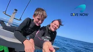 Fiji Diving at Volivoli with Dive Now 2025