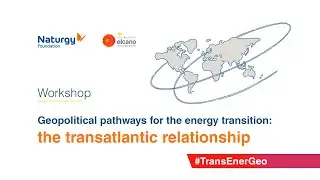 Workshop &lsquo;Geopolitical pathways for the energy transition: the transatlantic relationship&rsquo;