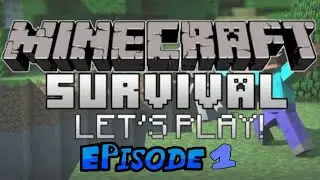 Im Back Minecraft Lets Play episode 1 (diamonds +mobs=no coal)