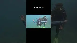 #mysoloadventuresvlog #solo #scubadiving #underwaterworld #oceanvibes #divelife