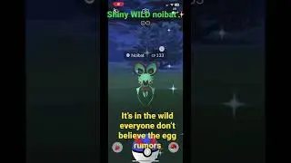 Shiny noibat Pok&eacute;mon go
