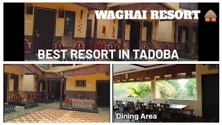 WAGHAI RESORT TADOBA | BEST RESORT IN TADOBA | TADOBA NATIONAL PARK |