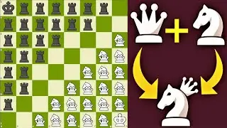 Incredible Chess Challenge: Can 24 Rooks Defeat 20 Amazons?