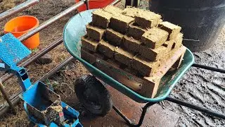 horse manure briquettes @tinkytanky3